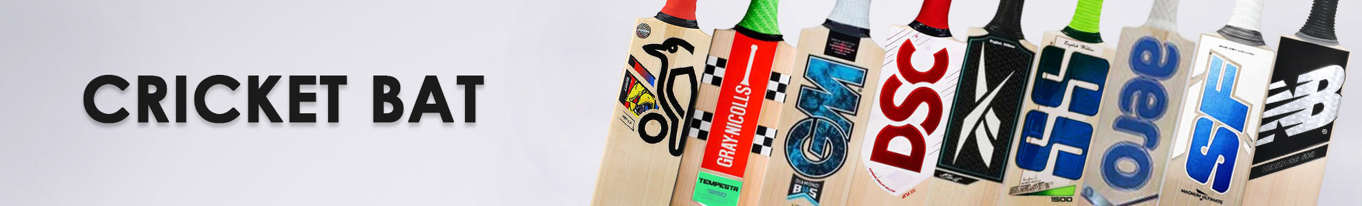 Cricket Bats | English & Kashmir Willow Bats