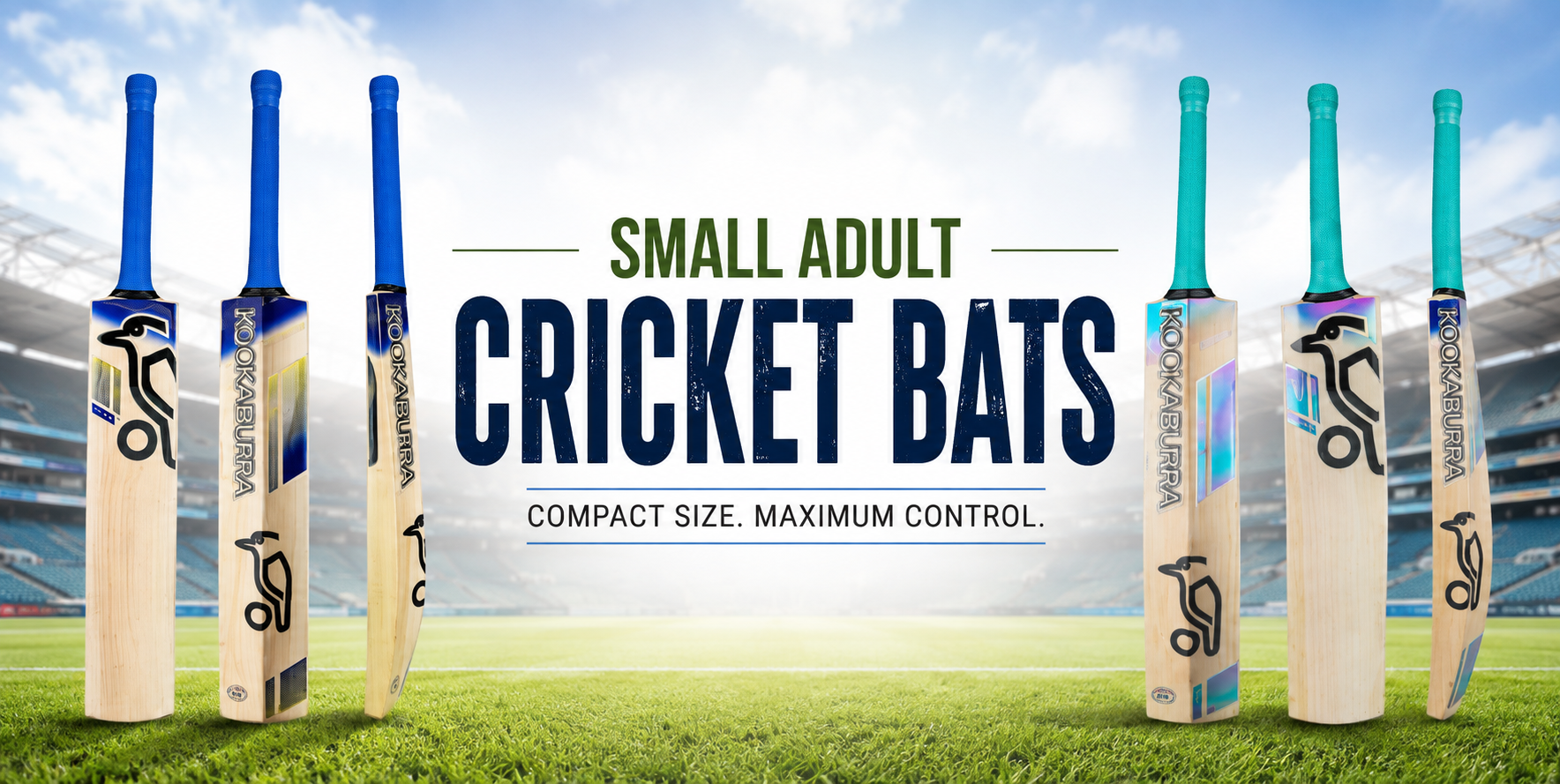 Small Adult Bats