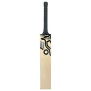 Shop the Kookaburra Shadow Pro 4.0 Senior Cricket Bat
