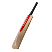 50th Edition cricket Bat by GN