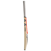 Gray Nicolls 2.0 XT Cricket Bat Junior
