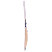 SG HP Spark Kashmir Willow Cricket Bat 25/26 at Stag Sports