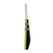Gray Nicolls Cloud Catcher Bat