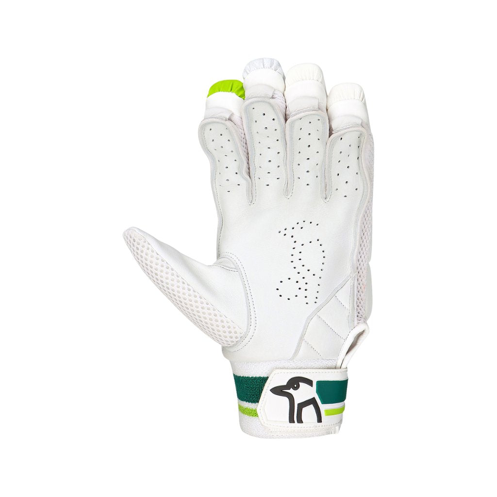 24 Series from Stag Sports Cricket Store.