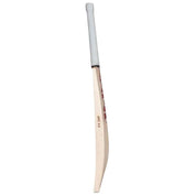 SG Sunny Tonny Arc 4.0 Senior Cricket Bat