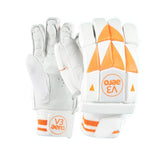 Aero V3 Cricket Batting Gloves
