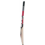 BAS bullet Kashmir Willow Junior Cricket Bat
