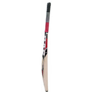 BAS bullet Kashmir Willow Junior Cricket Bat