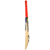 Kookaburra Beast Pro Player Senior Cricket Bat 25/26