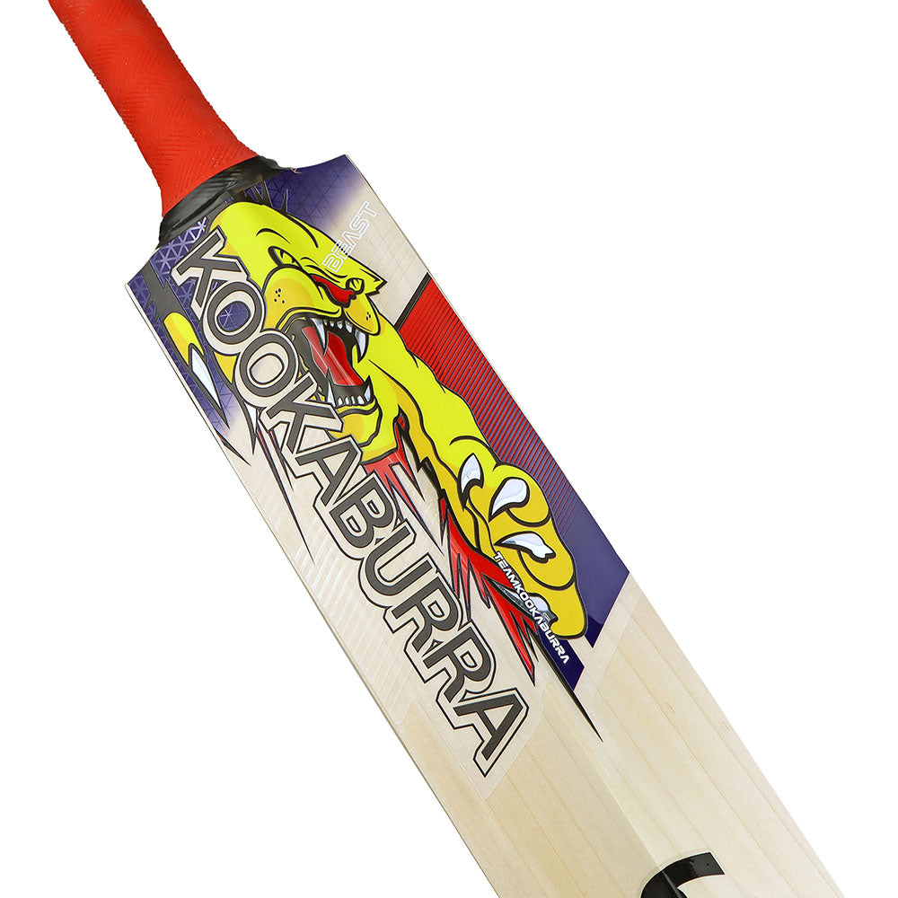 Kookaburra Beast Pro Player Senior Cricket Bat 25/26