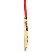 Kookaburra Beast Pro 9.0 Kashmir Willow Junior Cricket Bat 25/26