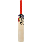 Kookaburra Beast Pro 9.0 Kashmir Willow Junior Cricket Bat 25/26