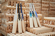 GM HYPA DXM Signature Senior Cricket Bat