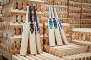 GM HYPA DXM Signature Senior Cricket Bat