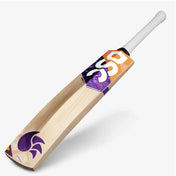DSC Krunch 500 English Willow Cricket Bat
