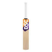 DSC Krunch 500 English Willow Cricket Bat