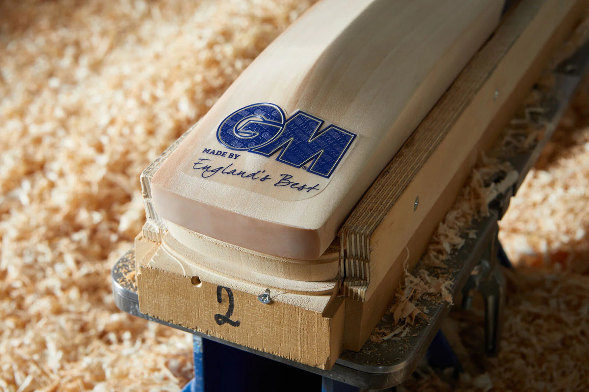GM Brava DXM 808 Senior Cricket Bat