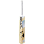 Kookaburra Ghost Pro 4.0 Junior English Willow Cricket Bat 25/26