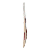 New Balance TC 860 Senior Cricket Bat