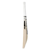 SF Force L.E English Willow Cricket Bat-Stag Sports Cricket Store