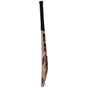 SS Master 99 English Willow Cricket Bat at Stag Sports Cricket Store