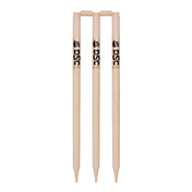 Buy DSC Bleached And Polished Cricket Stumps Online |  Stag Sports