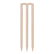 Buy DSC Bleached And Polished Cricket Stumps Online |  Stag Sports