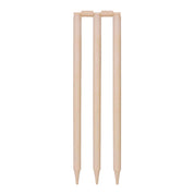 Buy DSC Bleached And Polished Cricket Stumps Online |  Stag Sports