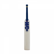 GM Brava DXM 808 Senior Cricket Bat