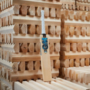 GM Diamond DXM 909 Senior Cricket Bat