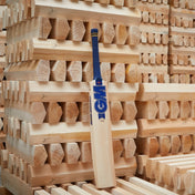 GM Brava DXM 808 Senior English Willow Cricket Bat