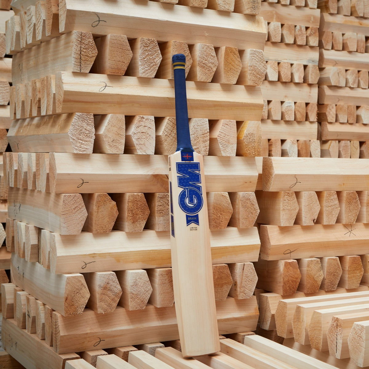 GM Brava DXM 808 Senior Cricket Bat