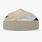 DSC Blak 200 Junior English Willow Bat