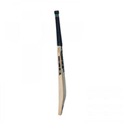 GM HYPA DXM Signature Senior Cricket Bat