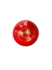 ICON Junior Leather Ball