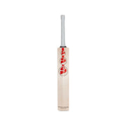 SG Sunny Tonny Arc 4.0 Senior Cricket Bat
