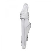 GM Batting Pads- Stagsports Cricket Store