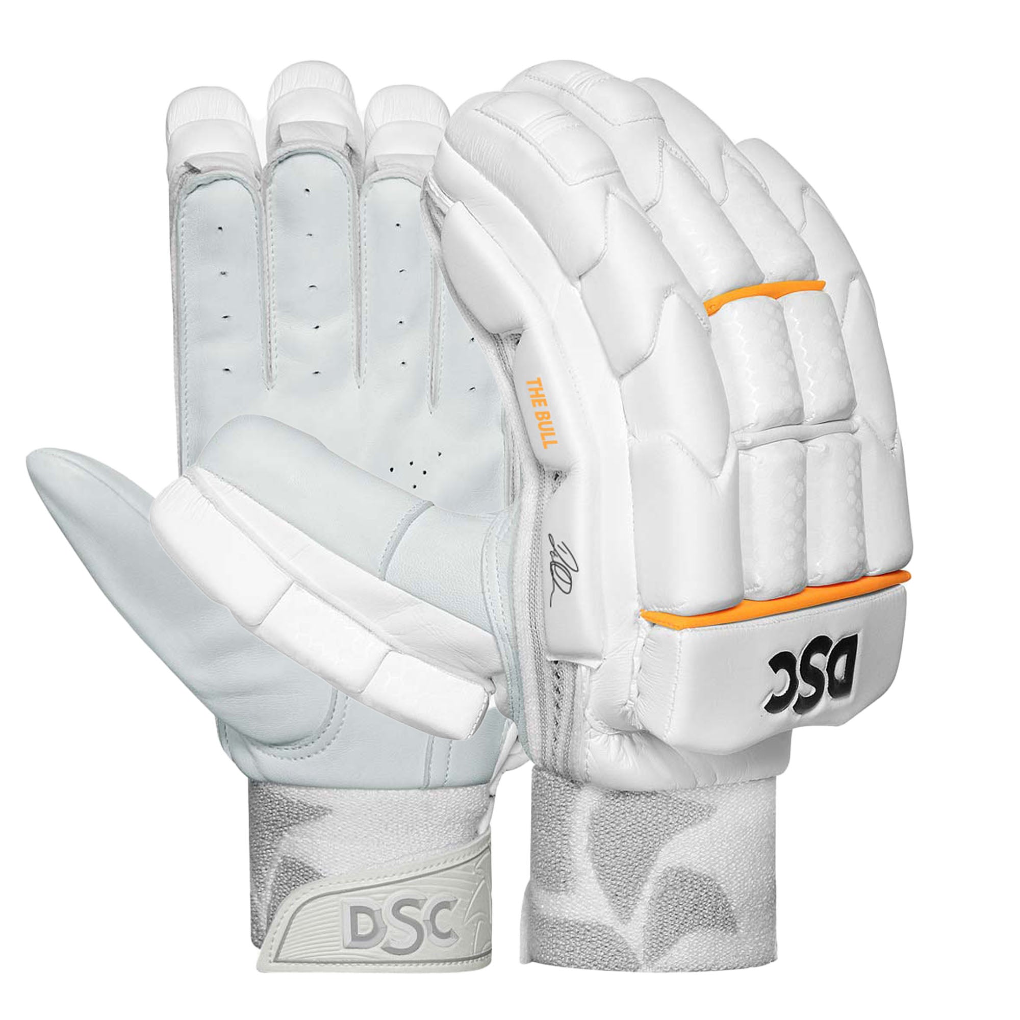 DSC Krunch The Bull Autograph Cricket Batting Gloves