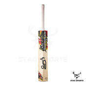 Kookaburra Beast Pro 6.0 Junior English Willow Cricket Bat