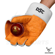 DSC KRUNCH 100 Cricket Wicket Keeping Gloves