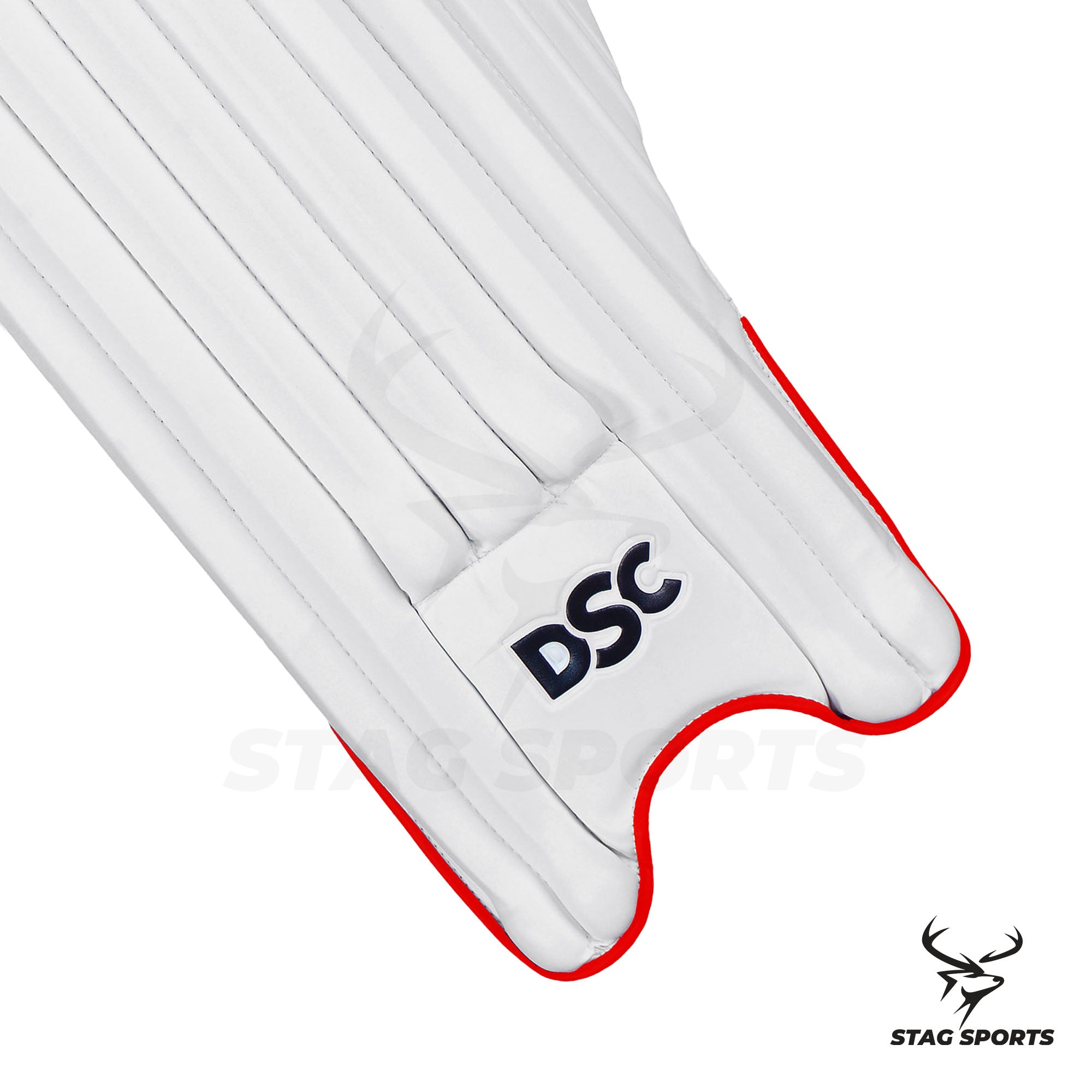 BUY DSC CRICKET BATTING PADS