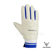 DSC Player Edition Wicket Keeping Inners