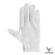 Buy DSC Motion Full Fingers Batting Inner Online | Stag Sports Australia