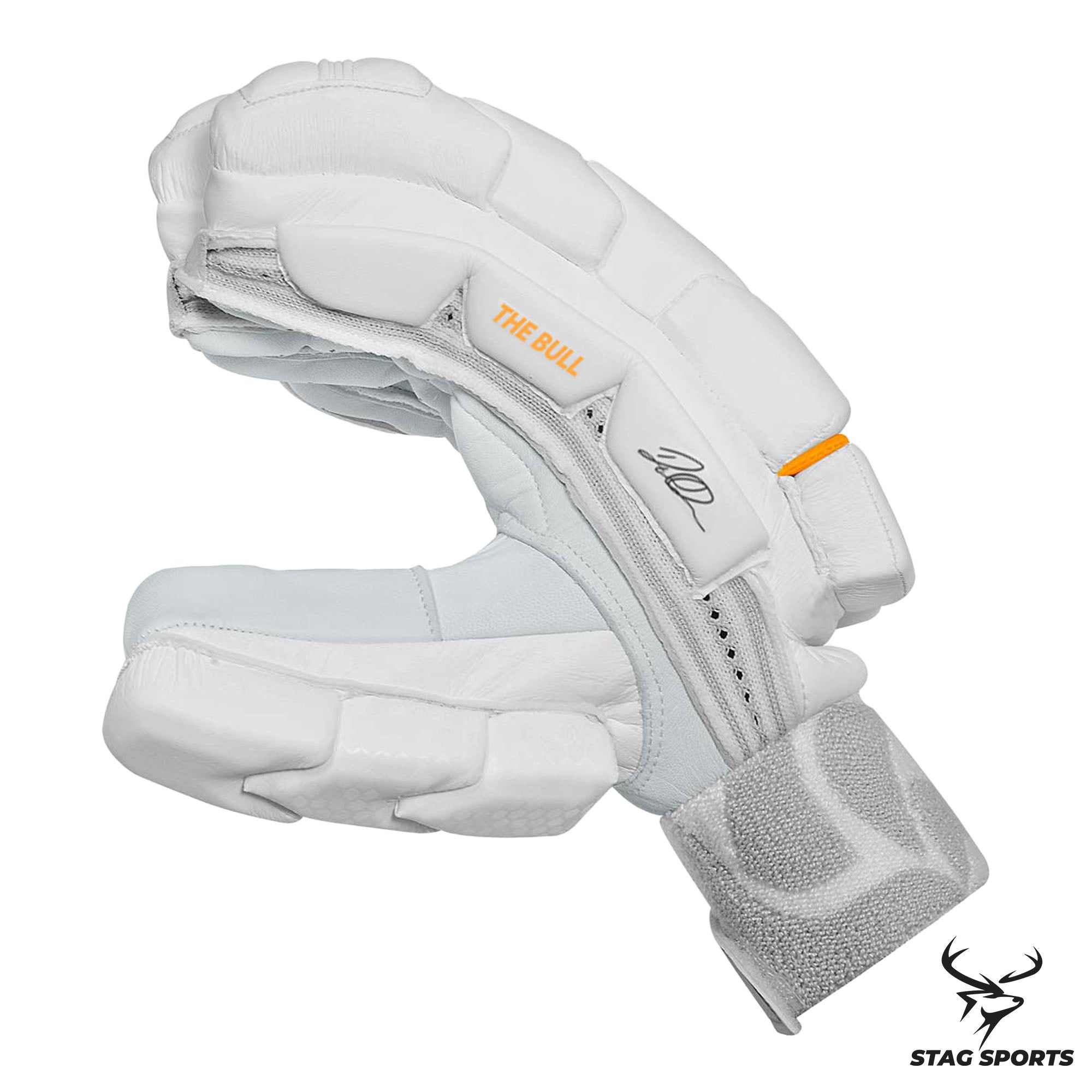 DSC Krunch The Bull Autograph Cricket Batting Gloves