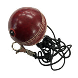 THE V NET TRAINING BALL - 156 GRAMS