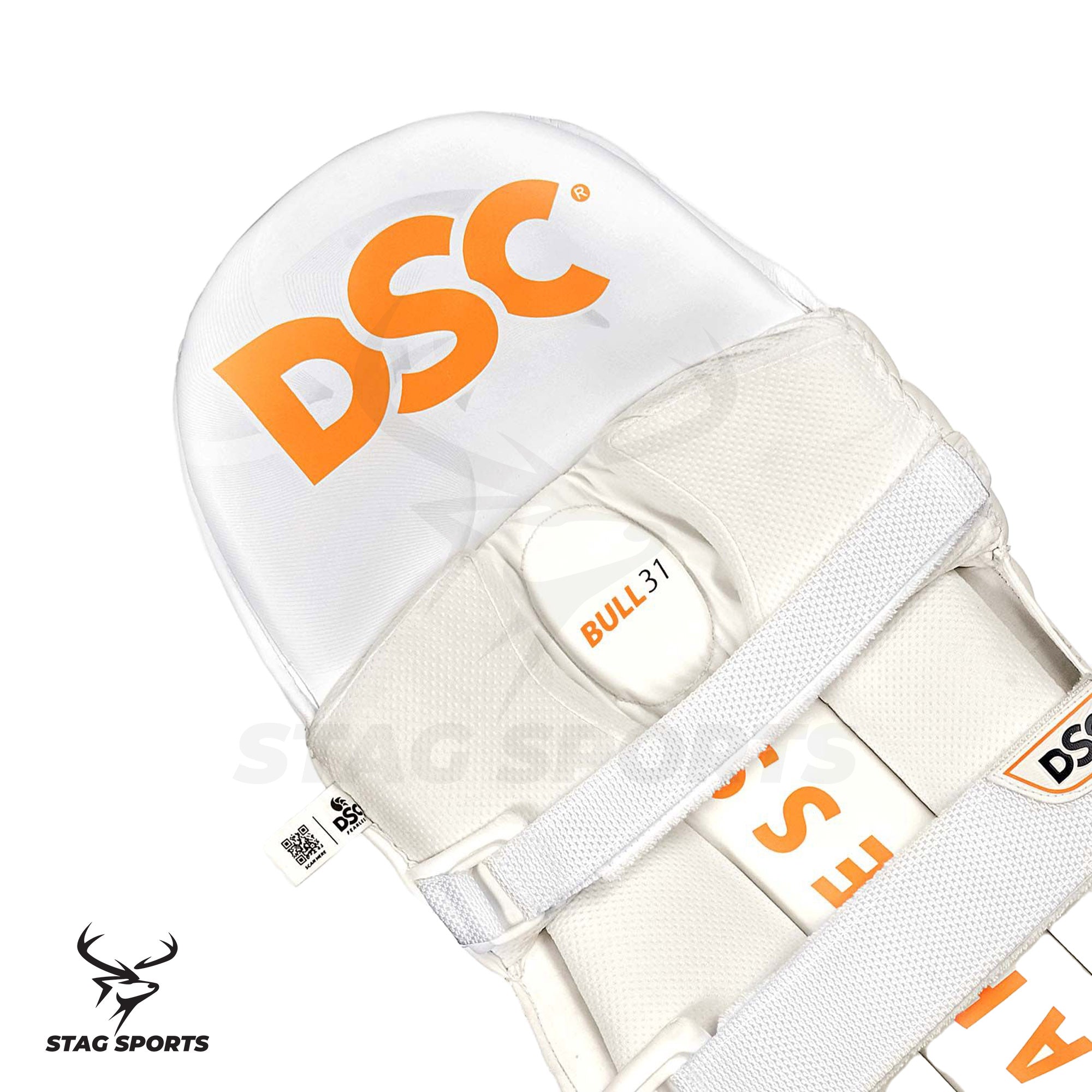 dsc2.jpg